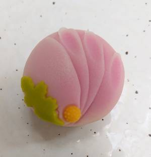 【清澄庭園】9/29～10/1 大好評「清澄茶屋」の限定営業や「おはなし会」を開催