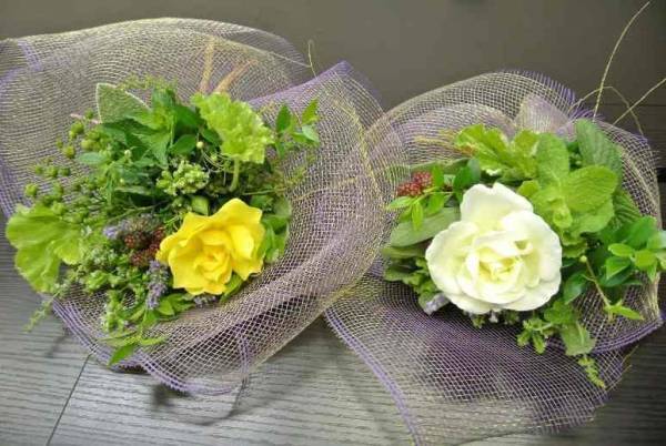 代々木公園「春のバラフェスタ」5/21(日)開催！