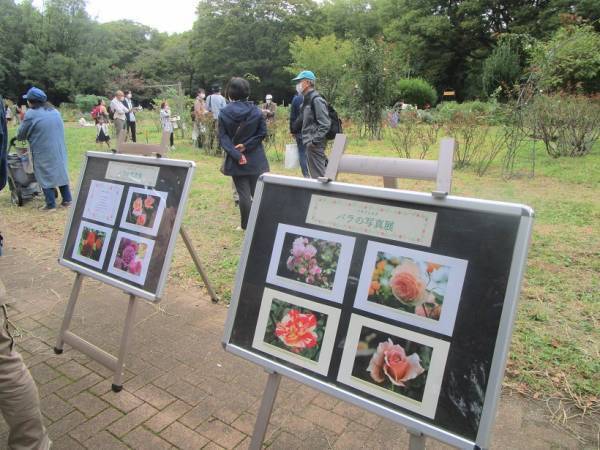 代々木公園「春のバラフェスタ」5/21(日)開催！