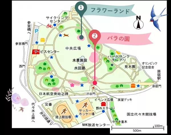 代々木公園「春のバラフェスタ」5/21(日)開催！