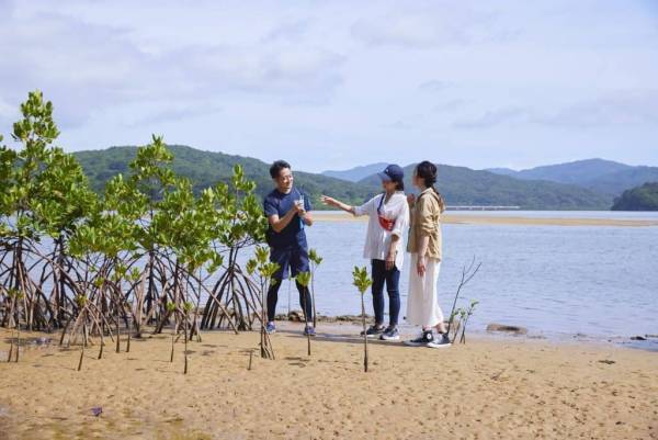 【西表島ホテル】島のエコツーリズムサイクルの確立に向けて、 宿泊予約を2泊以上の滞在に限定 ～島を守りながら、もっと旅を楽しむ滞在型観光を提案します～｜開始日：2023年4月1日