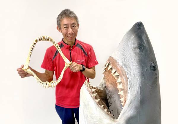 アクアワールド・大洗 特別イベント「鮫(さめ)・鱶(ふか)・鰐(わに)～SHARK！SHARK！SHARK！～」  ２０２３年１１月３日（金・祝）～１１月１３日（月）開催 1１月１１日(土)はココリコ田中直樹さんが１日館長に就任！