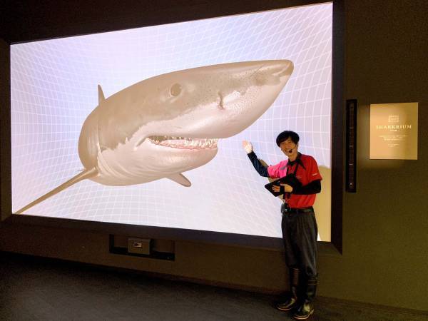 アクアワールド・大洗 特別イベント「鮫(さめ)・鱶(ふか)・鰐(わに)～SHARK！SHARK！SHARK！～」  ２０２３年１１月３日（金・祝）～１１月１３日（月）開催 1１月１１日(土)はココリコ田中直樹さんが１日館長に就任！