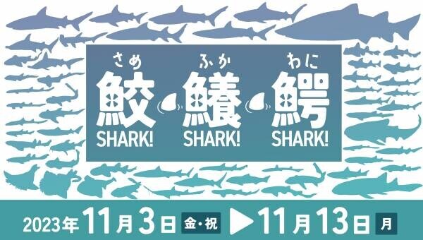 アクアワールド・大洗 特別イベント「鮫(さめ)・鱶(ふか)・鰐(わに)～SHARK！SHARK！SHARK！～」  ２０２３年１１月３日（金・祝）～１１月１３日（月）開催 1１月１１日(土)はココリコ田中直樹さんが１日館長に就任！