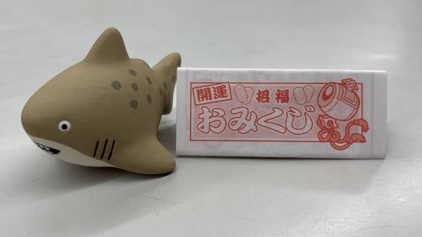 年末年始を水族館でもっと楽しもう♪ 「新春アクアワールド」２０２３年１２月２７日（水）から開催