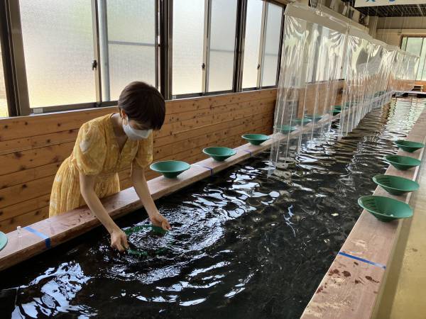 村井美樹が徳川家康ゆかりの金山をつなぐ歴史の道・黄金街道へ！「NEXT TRIP ～黄金KAIDO 静岡編～」8月19日(土)夕方5時00分からBS12で放送！