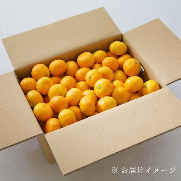 ＼秋のたび福袋／さつまいもやお鍋など、秋に食べたい旬のグルメが大集合！10月13日20時より発売【旅する久世福e商店】