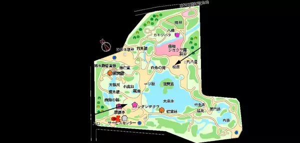 【小石川後楽園】11/17~「深山紅葉を楽しむ」開催のお知らせ