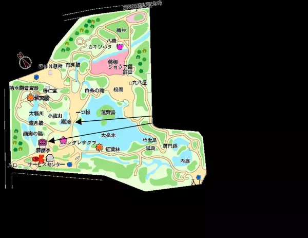 【小石川後楽園】夏の早朝開園と早朝観蓮会