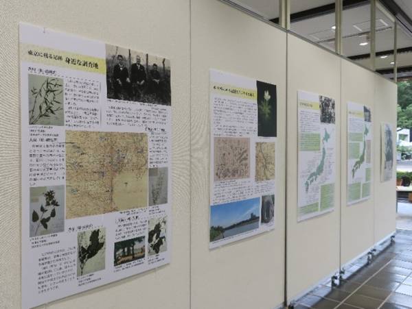 神代植物公園特別企画展「私は植物の精―牧野富太郎―」８月２７日（日）まで開催中！