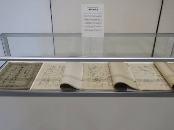 神代植物公園特別企画展「私は植物の精―牧野富太郎―」８月２７日（日）まで開催中！