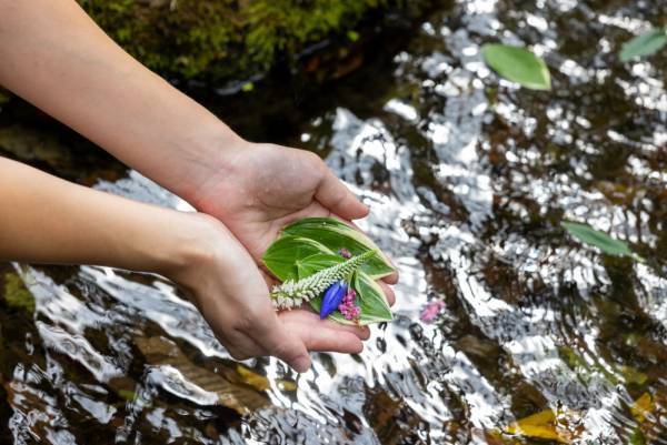 【星のや軽井沢】～心の赴くままに自然と向き合う「花まんだら並べ」が新登場～夏の暑さに負けない心と体の健幸（けんこう）を取り戻す 「軽井沢 夏の健幸滞在」実施｜期間：2023年6月1日～8月31日