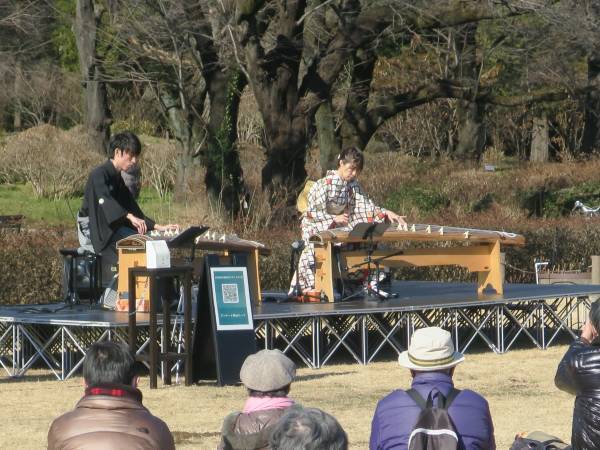 【神代植物公園】1/2～開園！「新春コンサート」と新春ならではの植物展示で新年の訪れを祝う
