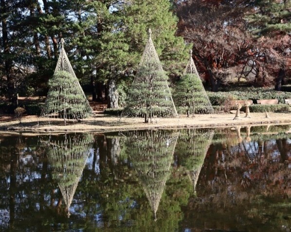 【神代植物公園】1/2～開園！「新春コンサート」と新春ならではの植物展示で新年の訪れを祝う
