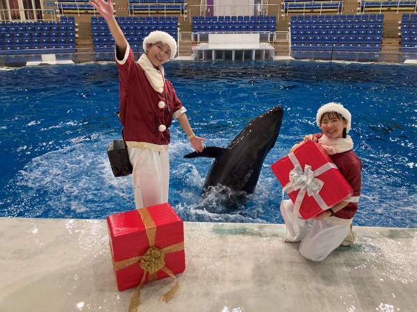 アクアワールド・大洗でクリスマスをテーマにしたイベントがスタート♪ 「クリスマス　アクアワールド 2023」 ２０２３年１１月１８日（土）～１２月２５日（月）