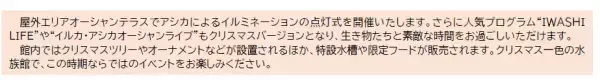 アクアワールド・大洗でクリスマスをテーマにしたイベントがスタート♪ 「クリスマス　アクアワールド 2023」 ２０２３年１１月１８日（土）～１２月２５日（月）