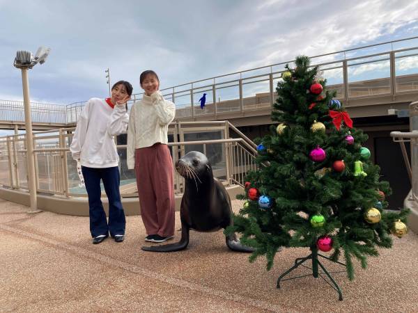 アクアワールド・大洗でクリスマスをテーマにしたイベントがスタート♪ 「クリスマス　アクアワールド 2023」 ２０２３年１１月１８日（土）～１２月２５日（月）