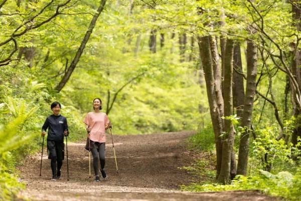 【星のや軽井沢】温泉と森林浴を基にしたウェルネスプログラム「森林養生」をリニューアル～浅間山麓の豊かな自然で身体の声を聞き、心身の健幸を取り戻す～｜開始日：2023年4月1日