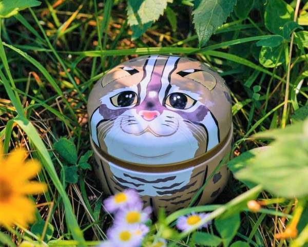 2月22日は猫の日！猫好き必見！食べるのがもったいない猫アイテムが新登場【旅する久世福e商店】