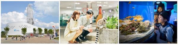 ＜生きもの×謎解き 第2弾！＞1月28日(土)から開催！ 大阪のニフレルで「拡がる感性」がテーマのリアル謎解きゲーム