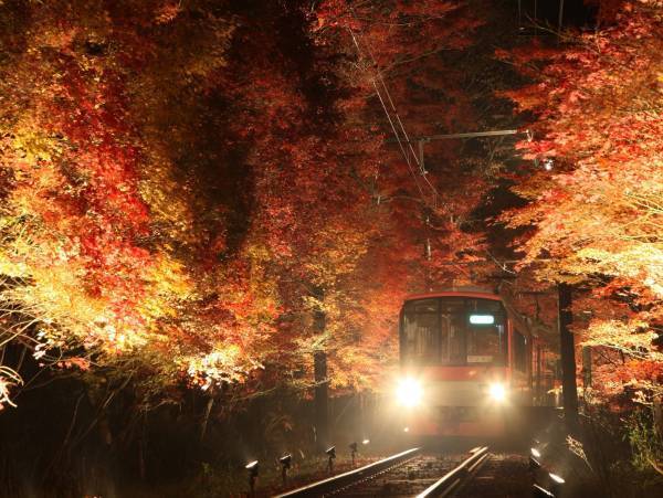 11月3日（金・祝）～26日（日）に「京の奥座敷・貴船もみじ灯篭」 を開催します