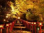 11月3日（金・祝）～26日（日）に「京の奥座敷・貴船もみじ灯篭」 を開催します
