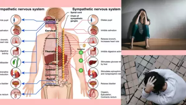 謎の不調の原因は自律神経の乱れやストレスかも？12月1日から『自律神経整体お試しキャンペーン』を実施