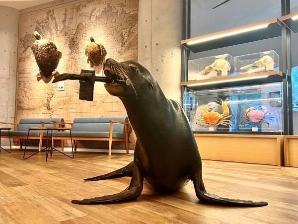 【アクアワールド茨城県大洗水族館】アクアワールド・大洗×水戸葵陵高等学校書道部 一文字一文字に魂を込めて“一筆入魂”の「書道パフォーマンス」２０２３年１２月２７日（水）開催