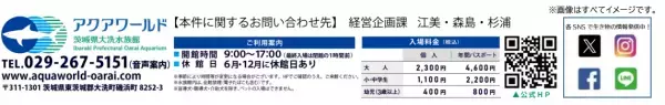 【アクアワールド茨城県大洗水族館】アクアワールド・大洗×水戸葵陵高等学校書道部 一文字一文字に魂を込めて“一筆入魂”の「書道パフォーマンス」２０２３年１２月２７日（水）開催