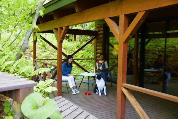 【奥入瀬渓流ホテル】愛犬と奥入瀬渓流を満喫する2泊3日宿泊プラン「奥入瀬愛犬ごほうび旅」開始～フレンチレストラン「Sonore」に愛犬用のディナーが新登場～｜開始日2023年6月1日～