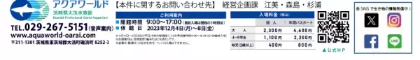 夜の海に広がる多彩な“出会い” 生き物たちの「静」と「動」が魅せる幻想的な夜の新世海 　『NIGHT AQUAWORLD』 ２０２３年１２月２日（土）よりリニューアル