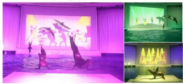 夜の海に広がる多彩な“出会い” 生き物たちの「静」と「動」が魅せる幻想的な夜の新世海 　『NIGHT AQUAWORLD』 ２０２３年１２月２日（土）よりリニューアル