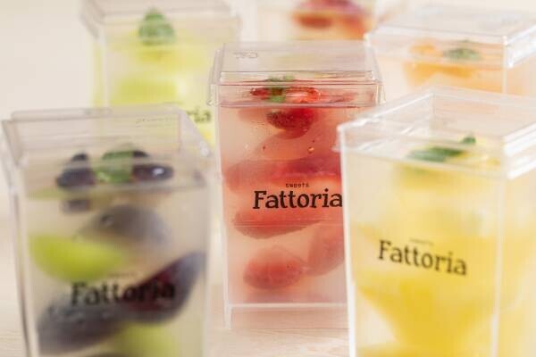 【沼津ブランド認定】Fattoria(ファットリア)新商品「米粉のシフォンケーキ」「静岡とろ～り珈琲ぷりん」ららぽーと沼津に再び出店決定　2/17(金)～2/26(日)