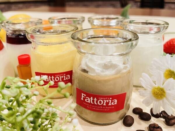 【沼津ブランド認定】Fattoria(ファットリア)新商品「米粉のシフォンケーキ」「静岡とろ～り珈琲ぷりん」ららぽーと沼津に再び出店決定　2/17(金)～2/26(日)