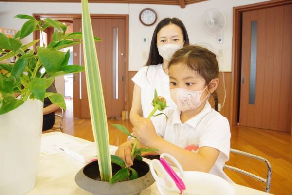 日本の伝統文化×SDGs 　花育いけばなレッスン　2023年6月～　麗澤幼稚園にて課外教室として開始