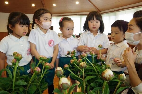 日本の伝統文化×SDGs 　花育いけばなレッスン　2023年6月～　麗澤幼稚園にて課外教室として開始