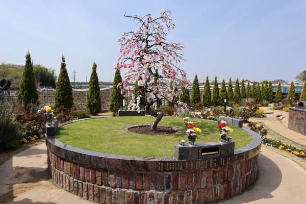 サニープレイス松戸　日本で他に類を見ない『お花』が墓標のペットと眠れる樹木葬