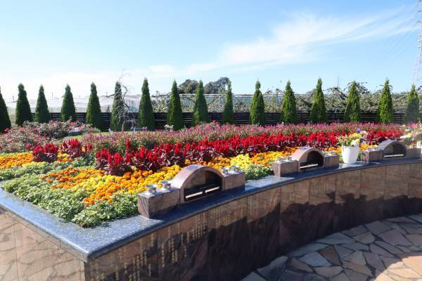 サニープレイス松戸　日本で他に類を見ない『お花』が墓標のペットと眠れる樹木葬