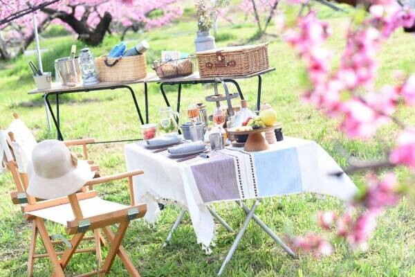 【星のや富士】満開の桃の花に囲まれた特別席で優雅に花見を堪能する「桃源郷グランピングランチ」を1日1組限定で開催｜期間：2023年4月1日〜20日