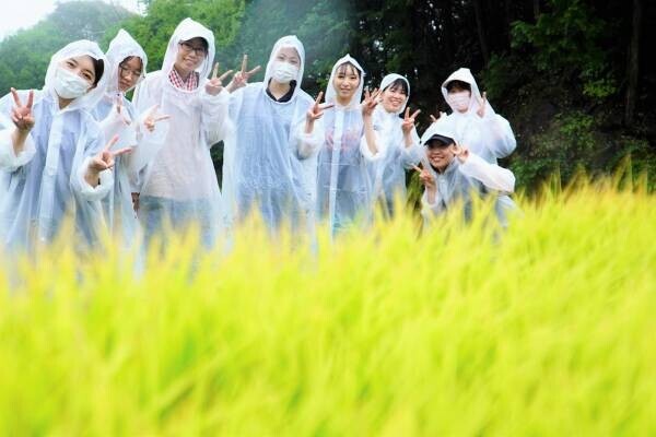 大阪国際大学・大阪国際大学短期大学部の学生が、水田に緑の絨毯を敷く田植えを行いました。