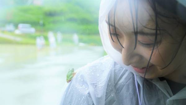 大阪国際大学・大阪国際大学短期大学部の学生が、水田に緑の絨毯を敷く田植えを行いました。