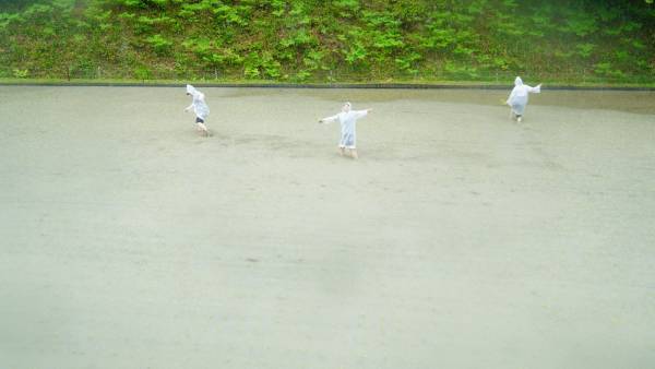 大阪国際大学・大阪国際大学短期大学部の学生が、水田に緑の絨毯を敷く田植えを行いました。