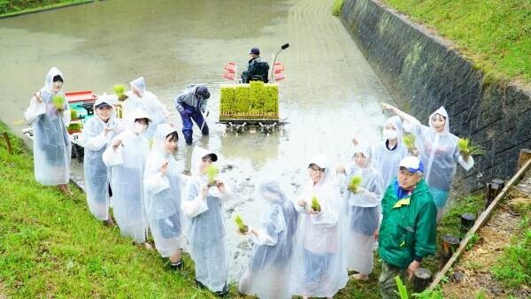 大阪国際大学・大阪国際大学短期大学部の学生が、水田に緑の絨毯を敷く田植えを行いました。