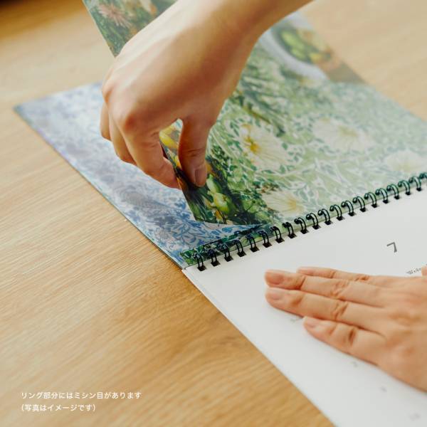 「モリスカレンダー2024」販売スタート！