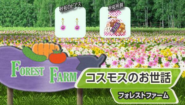 学園生活コミュニティ「キャラフレ」｜『体育祭』イベントのお知らせ