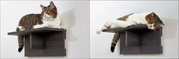 【新商品】ネコ好き社員が考えた愛猫のステップと壁面収納の両立を叶える家具をディノスが発売