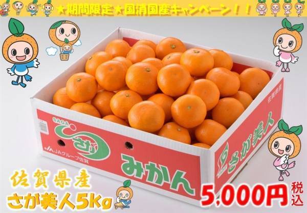 産地直送通販サイト「ＪＡタウン」の「さが風土館　季楽」で国産農畜産物のお客様送料負担なしキャンペーン開催中！