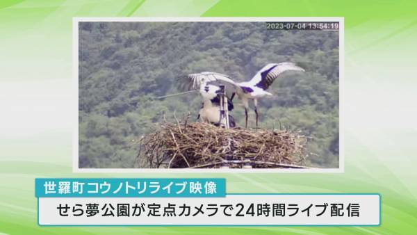 【広島ホームテレビ】「地球の声を聞きたいWeek」HOMEの番組が提案します