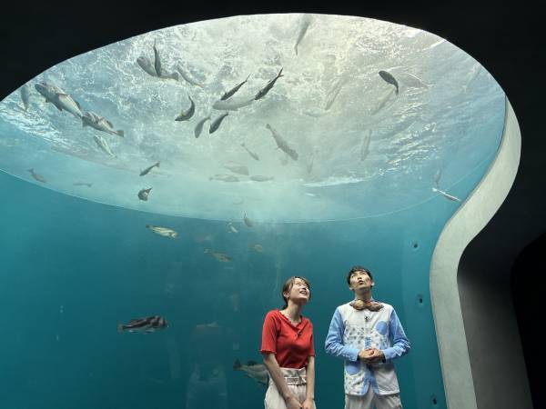 【広島ホームテレビ】「地球の声を聞きたいWeek」HOMEの番組が提案します