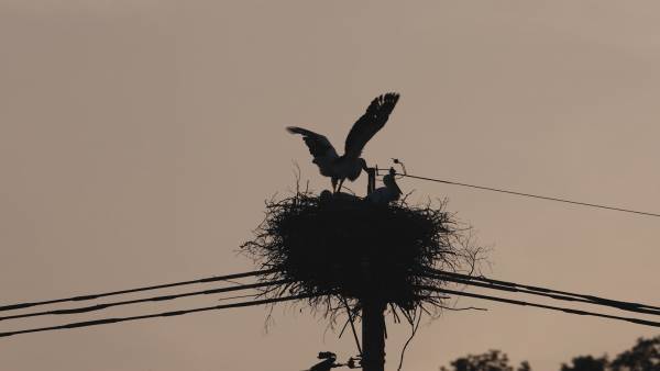 【広島ホームテレビ】「地球の声を聞きたいWeek」HOMEの番組が提案します